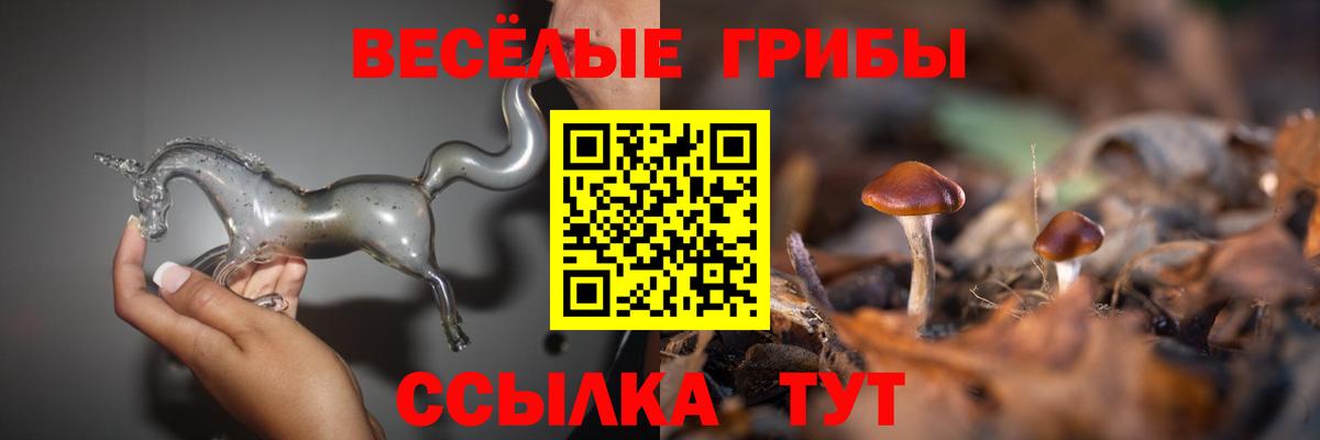 Симферополь  Псилоцибиновые грибы Magic Shrooms  Вход с VPN 